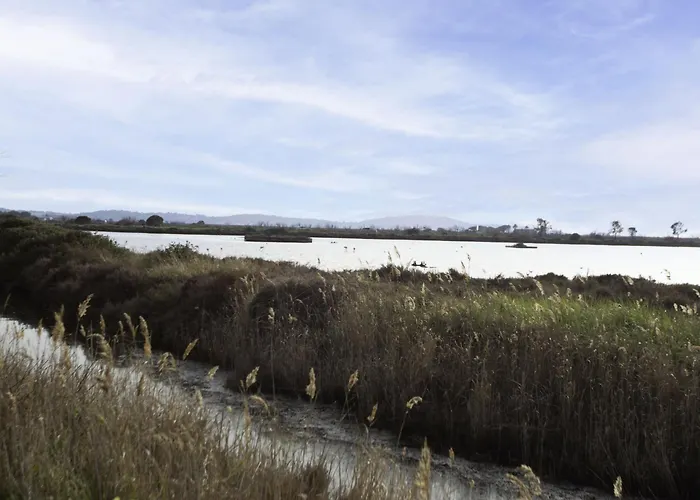 Les Regates-8 By Interhome Apartment Hyeres